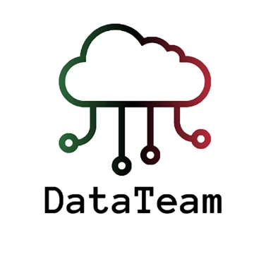 KN_DataTeam logo